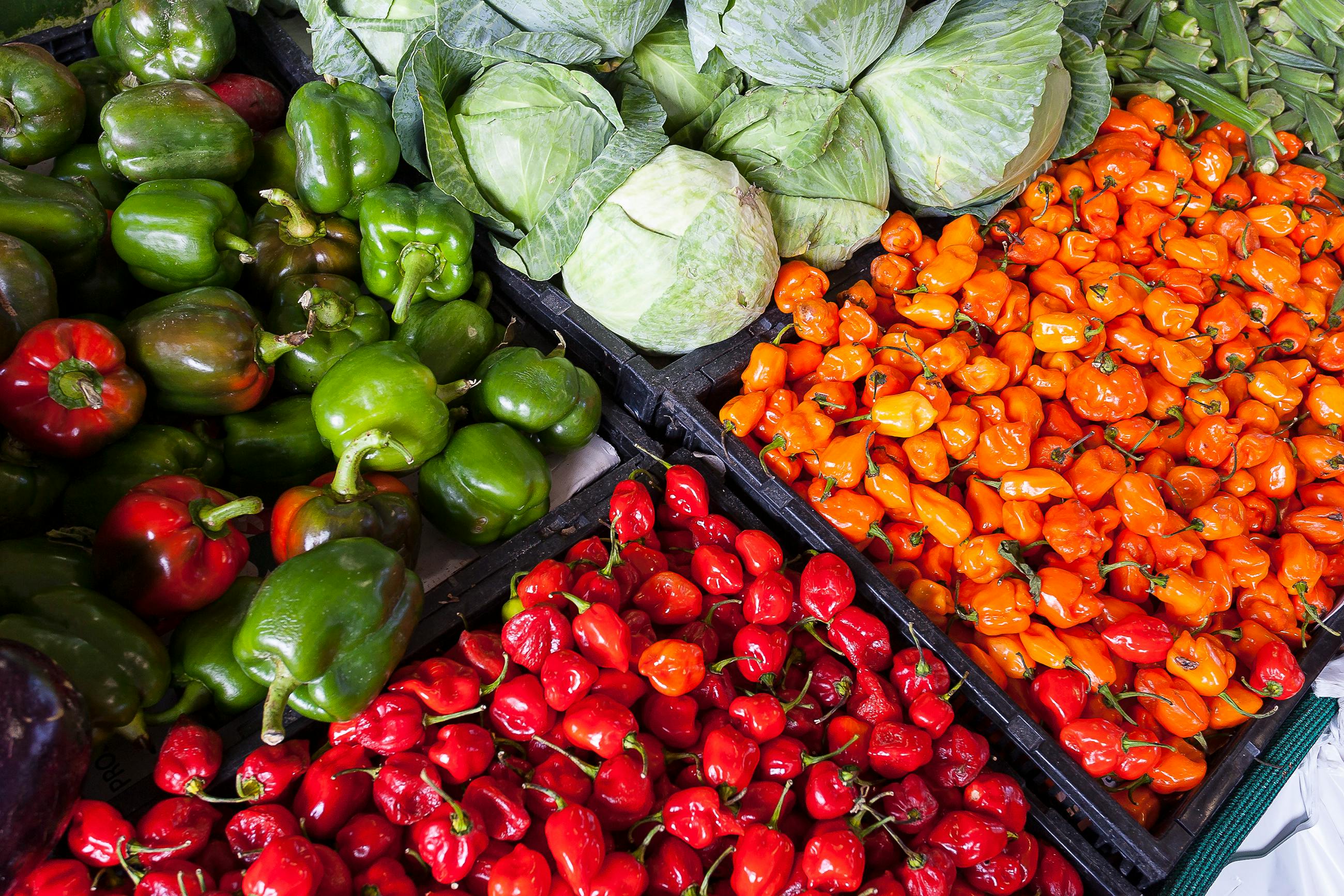 Farmer holding a crate of fresh vegetables